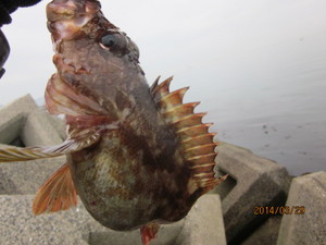 IMG_1233.JPG